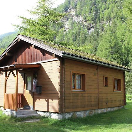 Modern Chalet in Saas-Balen with Garden Buitenkant foto