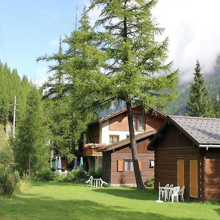 Modern Chalet in Saas-Balen with Garden Buitenkant foto